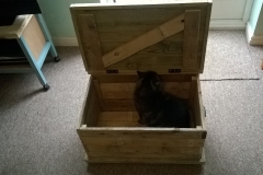 Pallet wood toy box