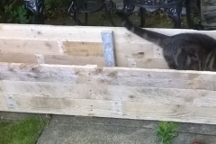 six foot long pallet wood planter